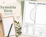 Karta pracy z ćwiczeniem symetrii liścia. Dzieci rysują drugą połowę liścia, ćwicząc oś symetrii.